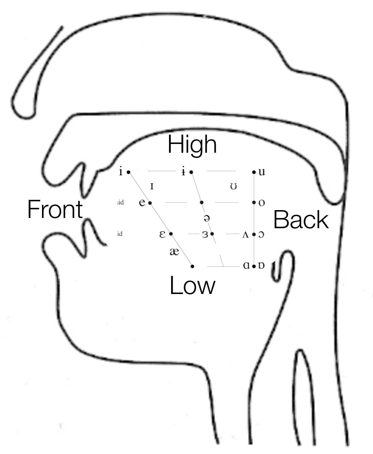 Consonant Ipa Vowel Chart Hot Sex Picture 